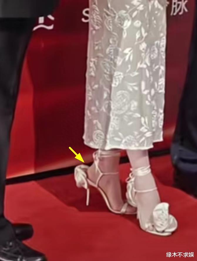 虞书欣和冯小刚走红毯，穿40码鞋站着艰难，生图法令纹太厚重！