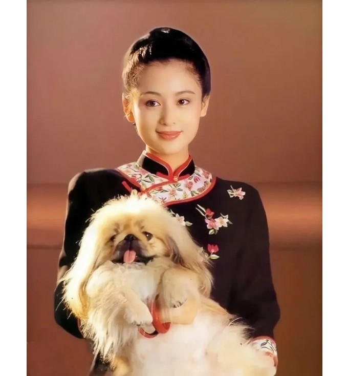 张继科|什么风格的女主持人更合适春晚的舞台?