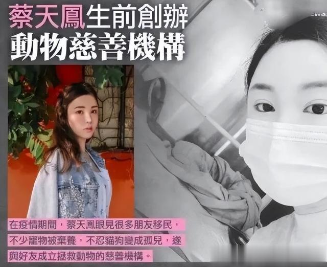 蔡天凤|蔡天凤案被曝牵连出11人！大部分都是和洗钱有关