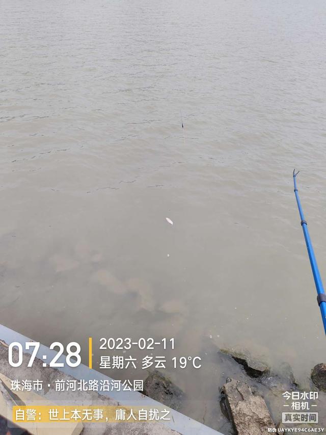 |浪急风高，大鱼偶得，罗非应接不暇