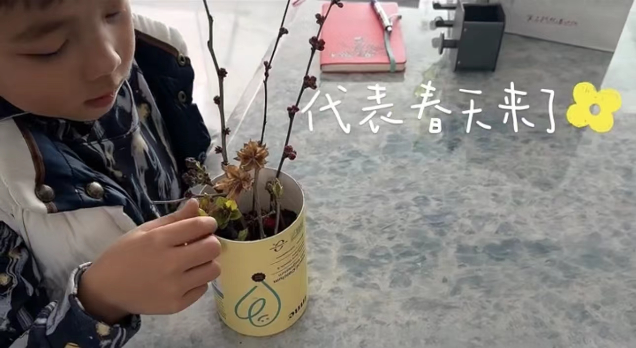 李思思|李思思罕晒俩儿子!身材变瘦白嫩似少女,俩娃高鼻梁瓜子脸神似妈