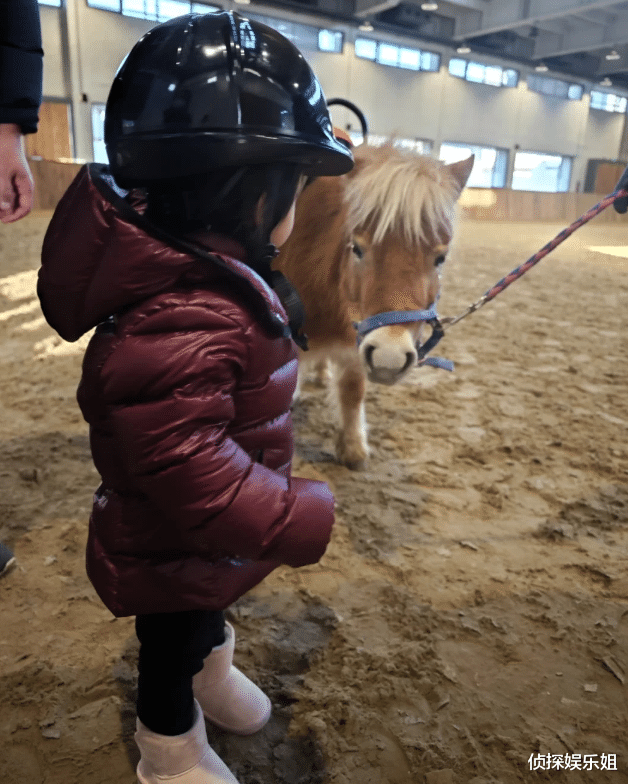张梓琳|张梓琳晒二胎女儿骑马萌照,妹妹罕露正脸颜值超高,长得像爸爸