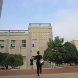 隐隐新趣