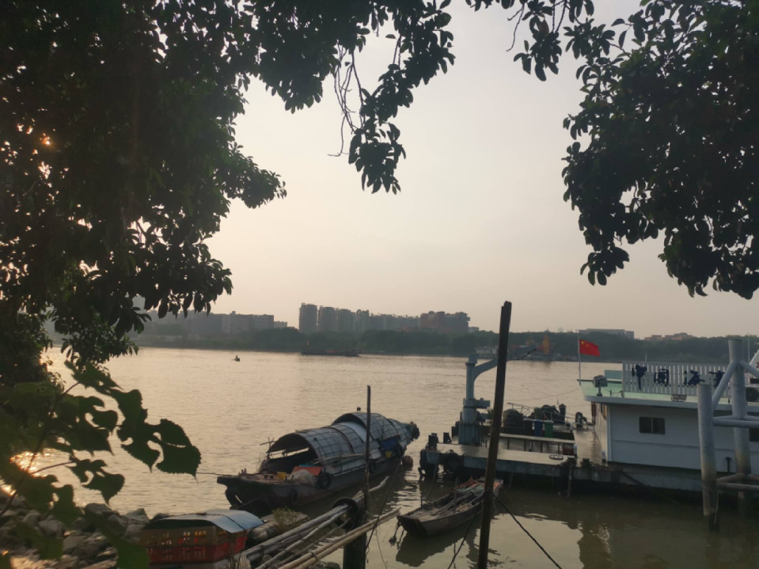 大厂裸辞后，我没能重启人生