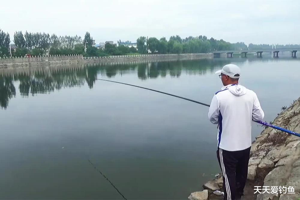 夏季钓白条,最佳方法不是全飞铅,而是这种民间钓法