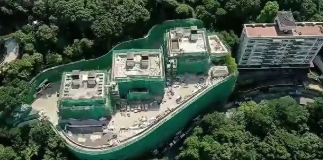 豪门阔太徐子淇:生一个孩子公公奖励10亿,年仅33岁身价超千亿