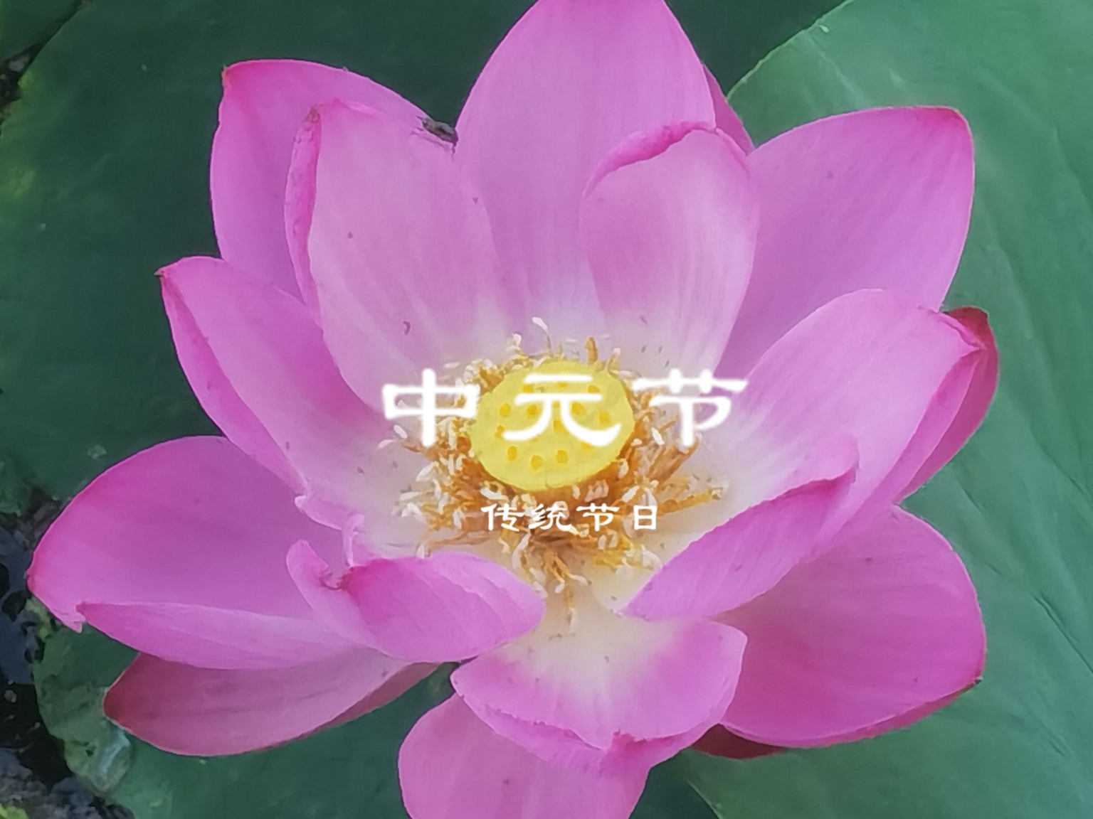 |7月30日中元节，再忙记得“吃3样，做2事”孝老敬亲运气好，不忘老传统