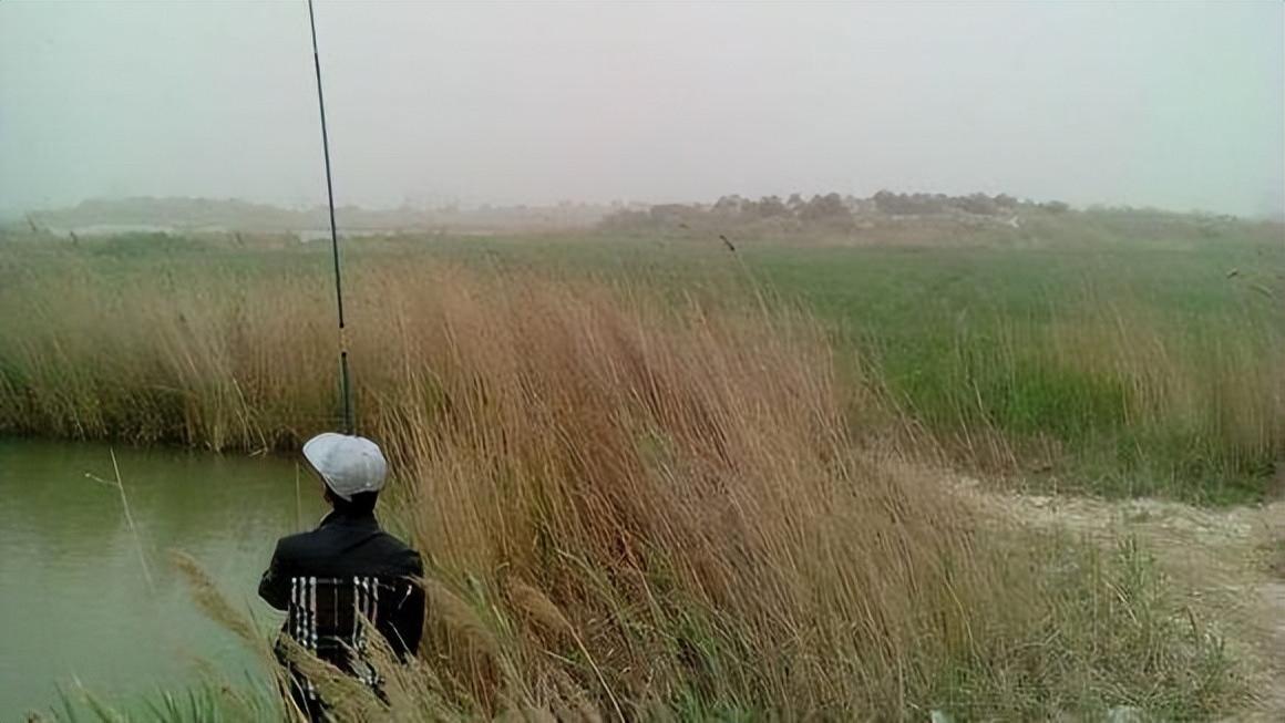 饵料|春季多风对钓鱼有啥影响？有风天怎么钓鱼？一次说个明白