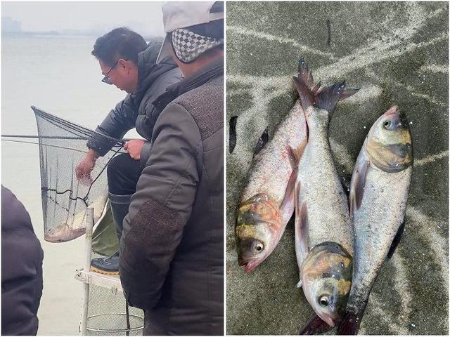 钓鱼|从长江边“千人垂钓”看“中国钓鱼人达1.4亿”，会把鱼钓光吗？