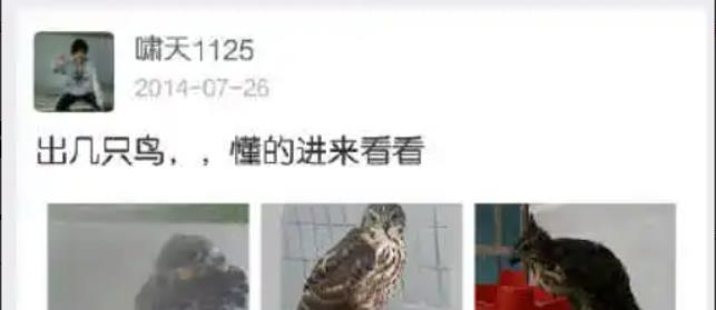 2014年大学生上树掏鸟蛋，被判入狱10年，专家：这是国家保护动物