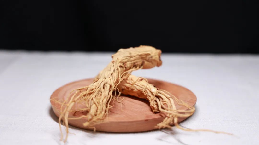 一个奇妙的方剂，可用于大补元气和挽救生命垂危，却只有一味主药