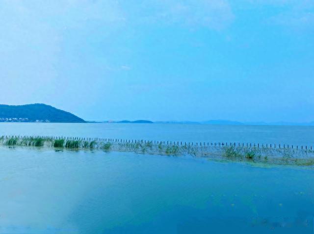 苏州|藏在太湖中的小岛，就像世外桃源一般，岛上盛产名茶碧螺春!
