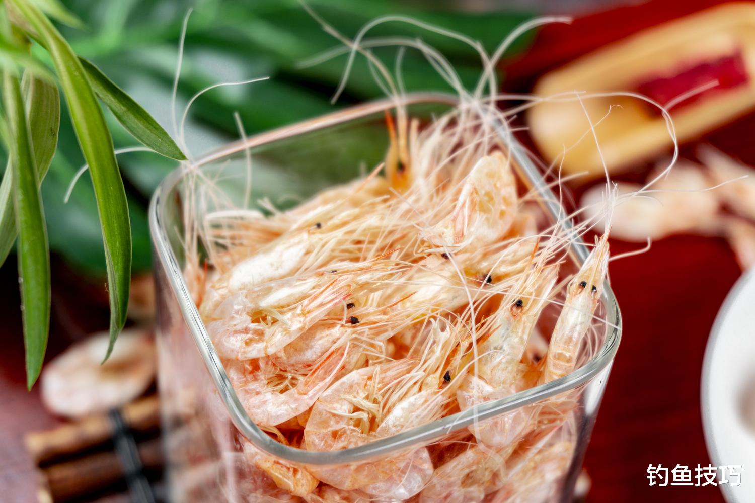 海钓|海钓如何选鱼饵?海钓好鱼饵的4个典型特征