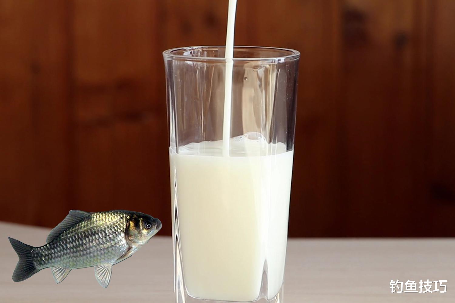 钓罗非鱼饵的4种味型,到底哪种最好用?