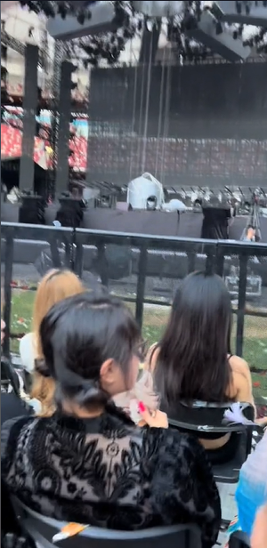 35岁王思聪升级当爹后续!带6个年轻女孩看演唱会,个个姿色不凡