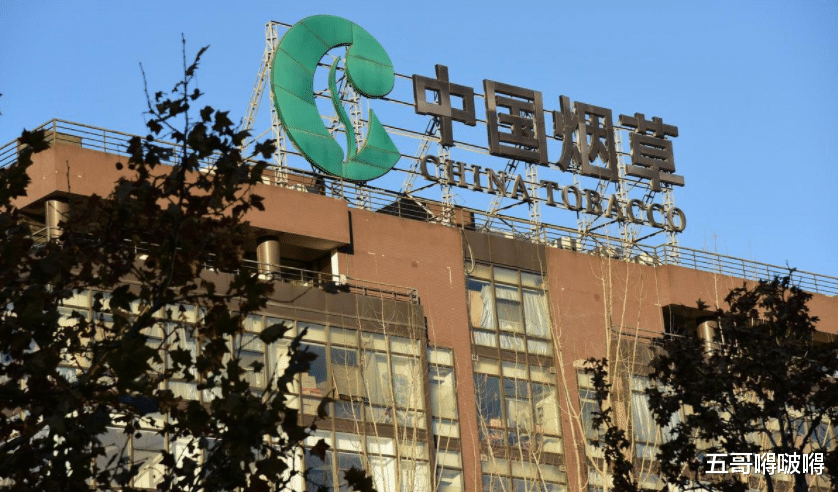 考高分也没资格进烟草？上海烟草录用名单曝光，印证了张雪峰的话！