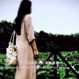洋洋无声