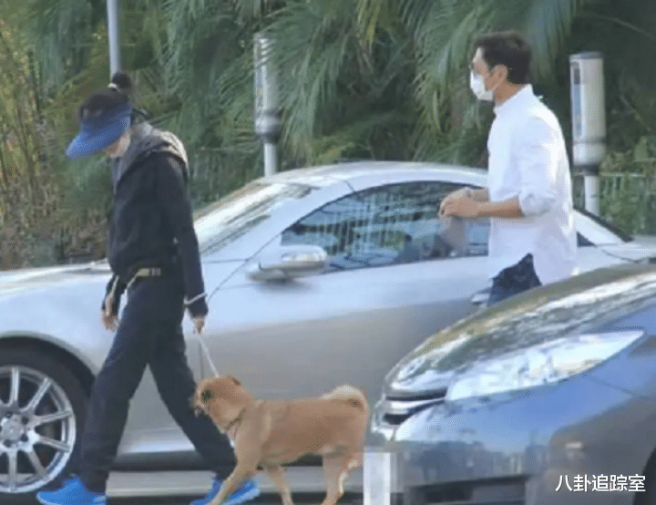 TVB|60岁TVB老戏骨近一年无戏拍，整日与前女友遛狗，头发黝黑状态好