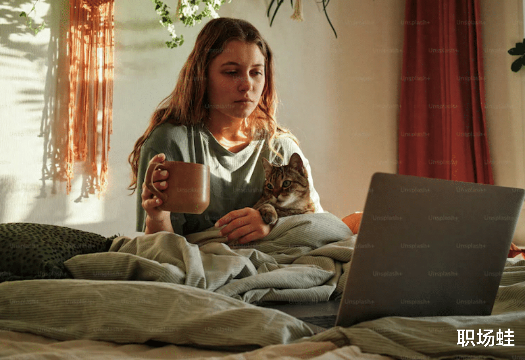 接了很多面试电话,却为何没有面试机会?