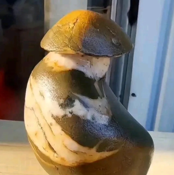 收获奇石一枚，像什么呢