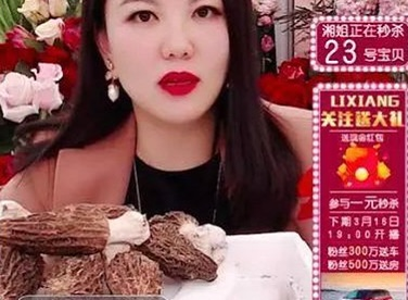 李湘出镜涉嫌违法:道德标准的沦丧还是舆论的误读? ?