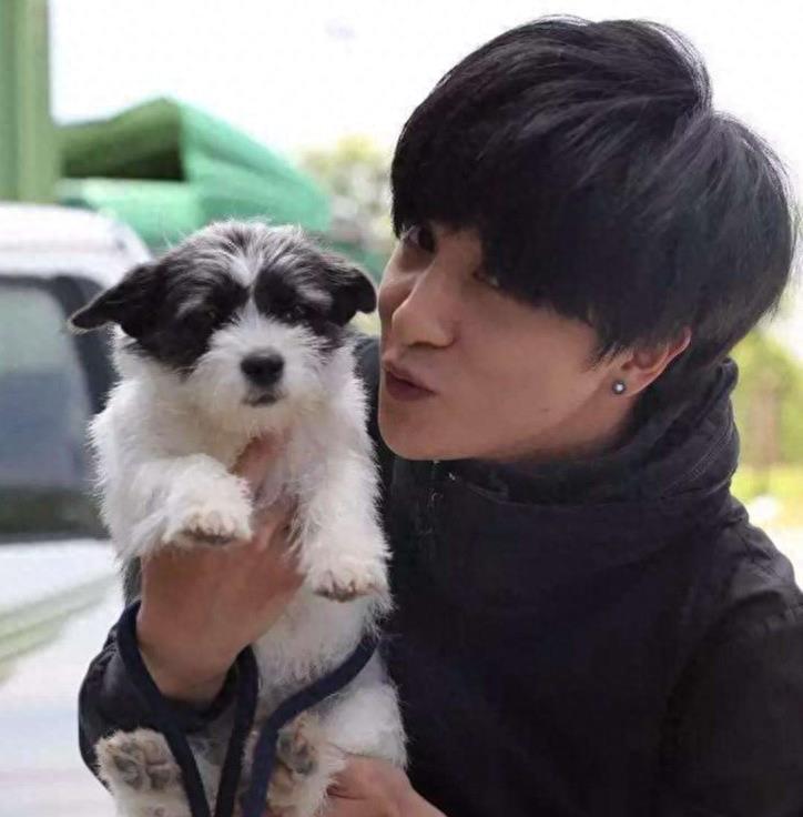 因恶犬伤人,明星们接二连三翻车,不懂审时度势,活该被怼了!