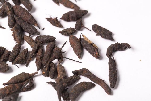 一个中成药打通上下,把积聚在体内的垃圾清除