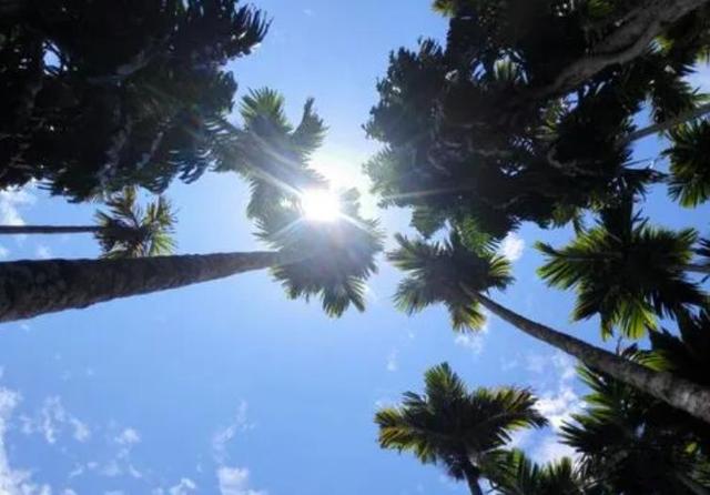 “脚气”真菌怎样才能根除？医生教你3个绝招，或治愈不复发