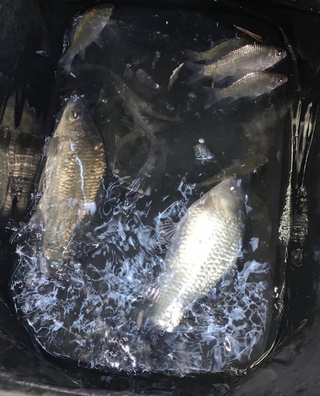 快乐|未雨绸缪做好预判，渔获如期而至