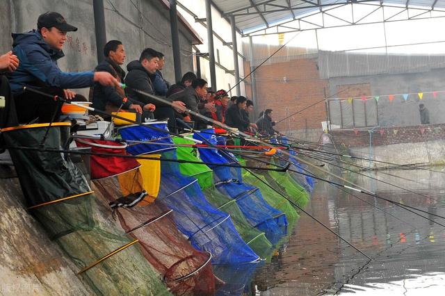 饵料|冰天雪地里穿短袖钓鱼?冬季北方钓大棚全攻略,抢鱼真过瘾!