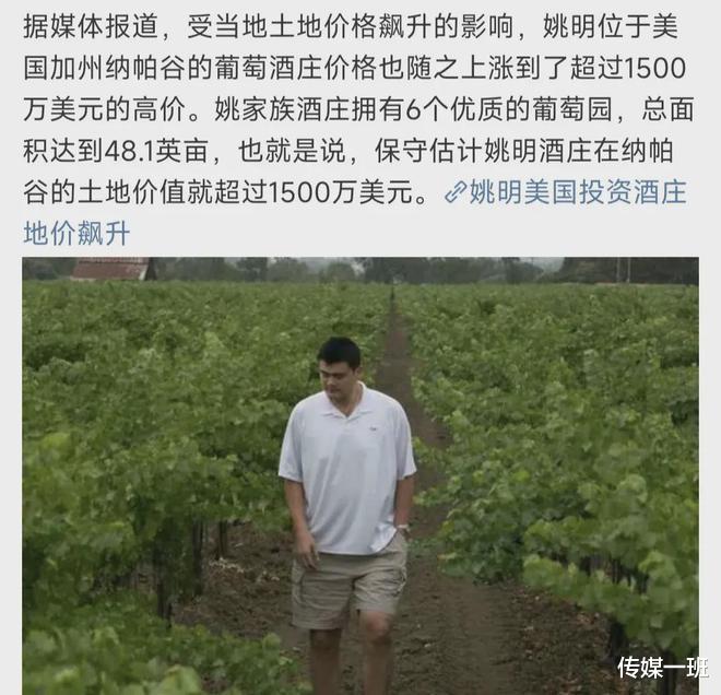 黄晓明刘嘉玲马云扎堆买的法国酒庄,折手里了?