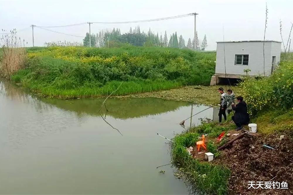 盛夏的鱼最难钓,“吃”透4个连竿绝学,爆护很容易