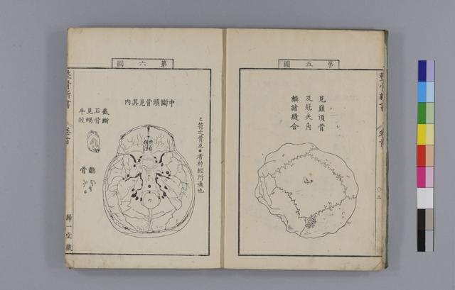 古籍分享《各骨真形图》