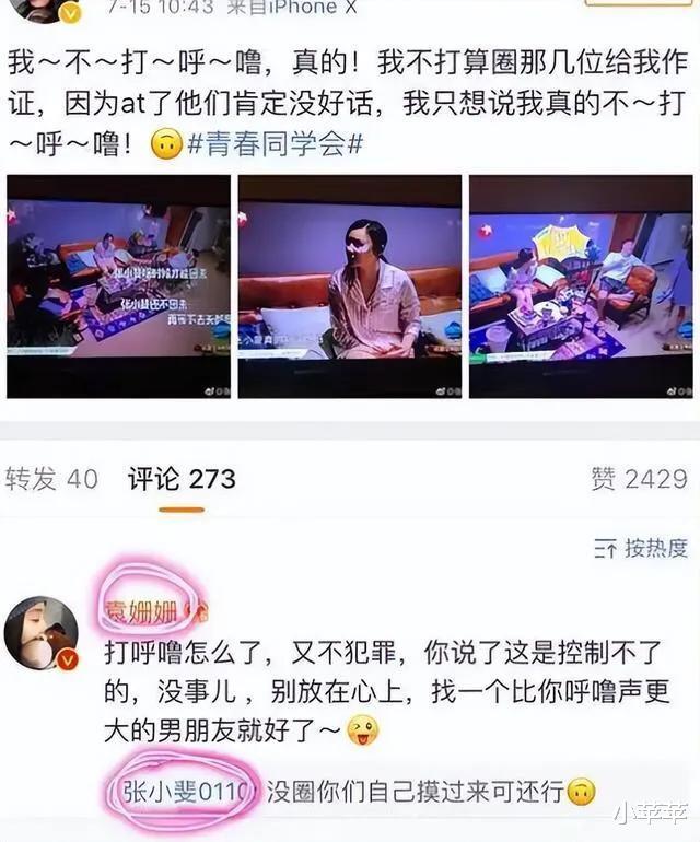 孙海英|张小斐，为什么不红了？