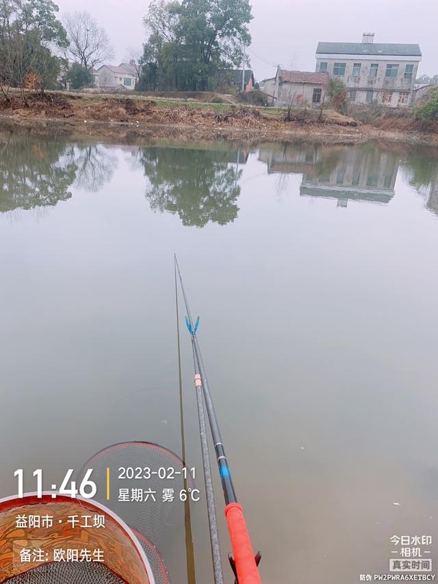 深水区|【钓鱼之家虾粉】阴雨退水鱼难钓,田螺姑娘来报道