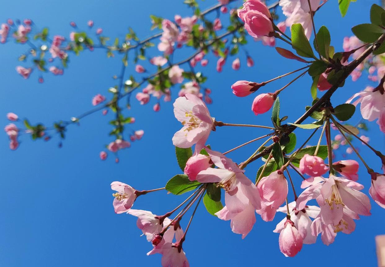 跳槽|为什么越有能力的人越容易离职?