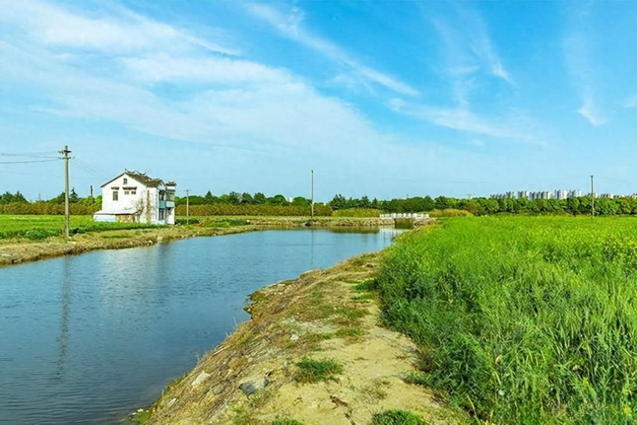 宁波一老板河中放鱼，5米宽小河引来数百人垂钓，有何深意？