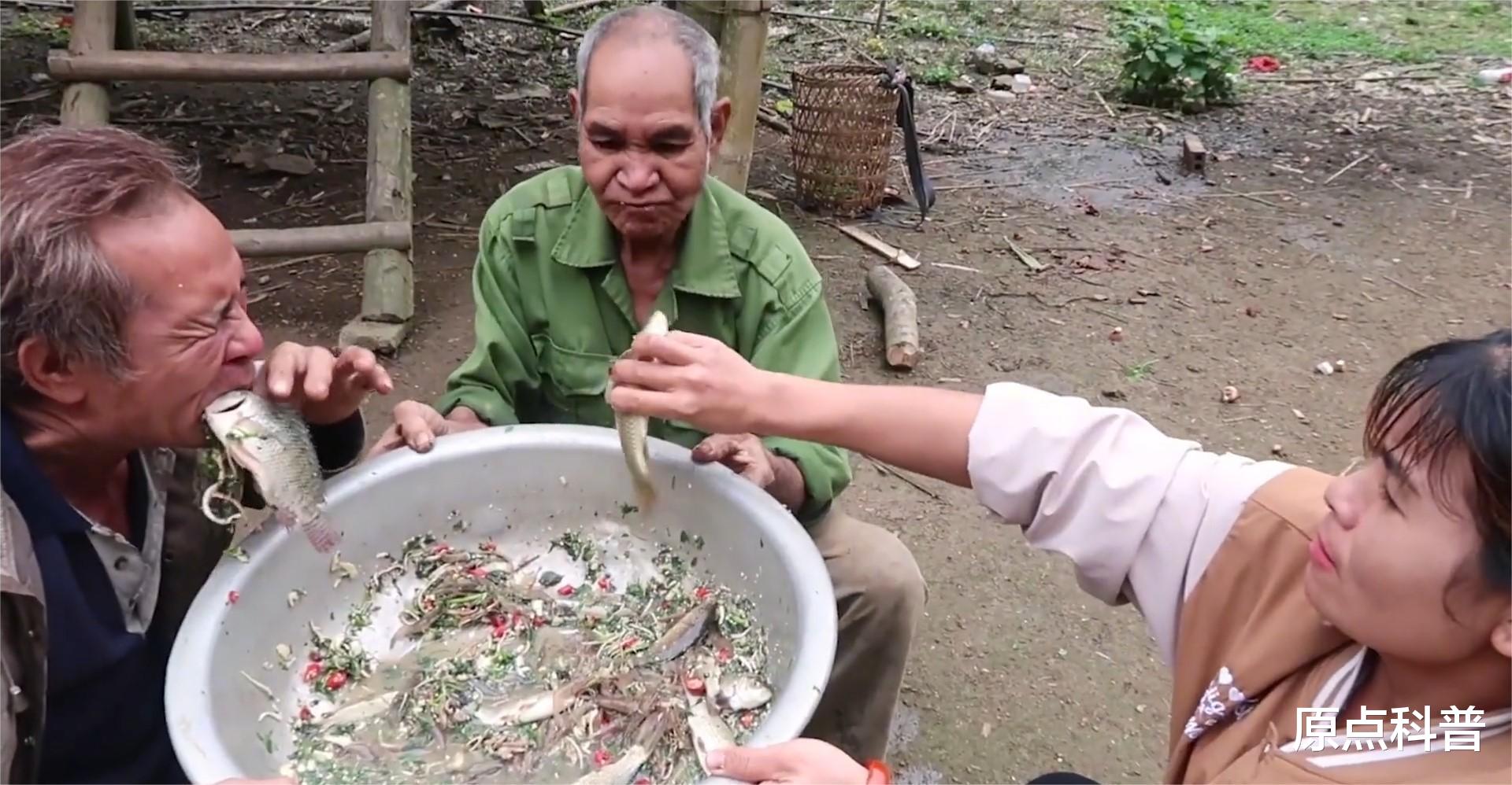 鲤鱼|盘点十大越南奇葩美食，玩得就是心跳，要的就是无可救药