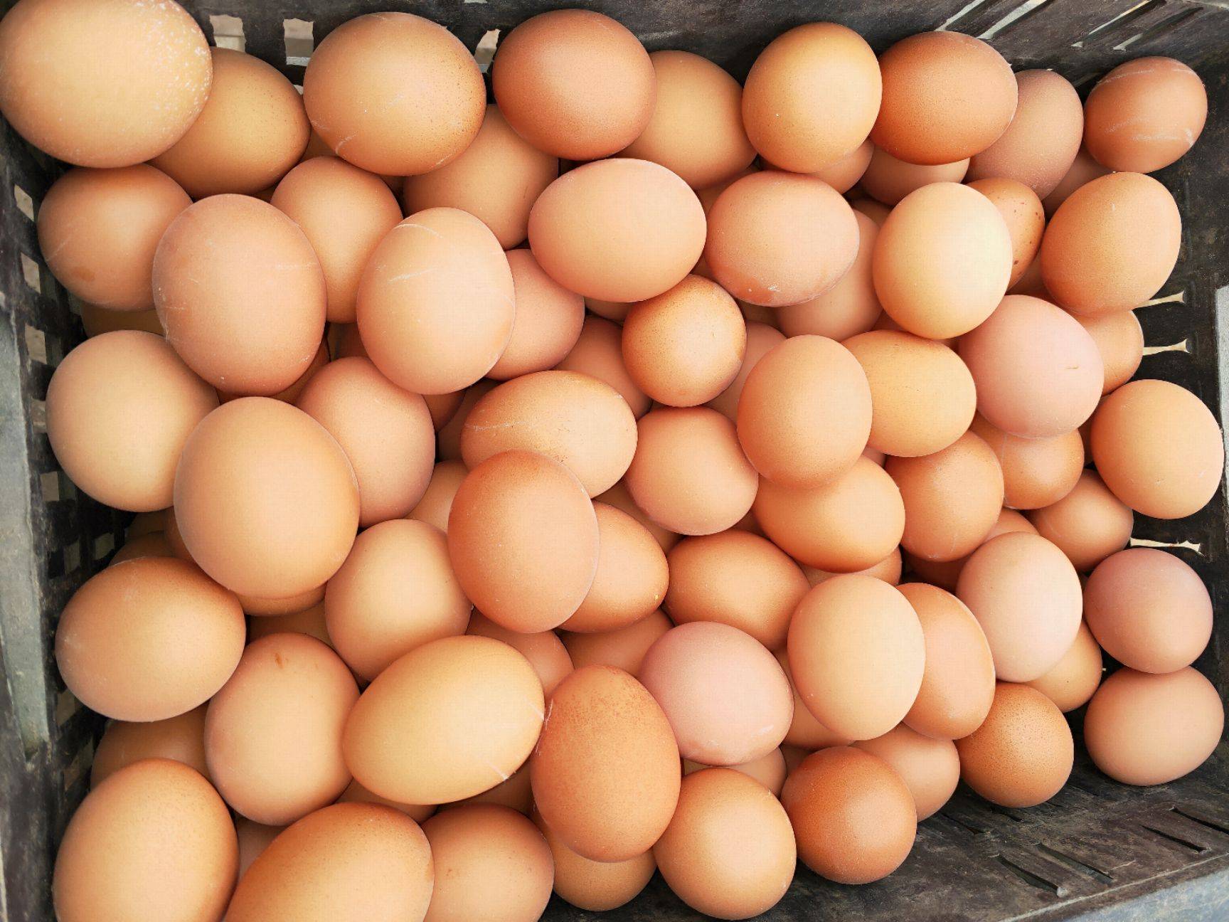 4种自带“黄体酮”的美食,中年女性要多吃,美容养颜显年轻