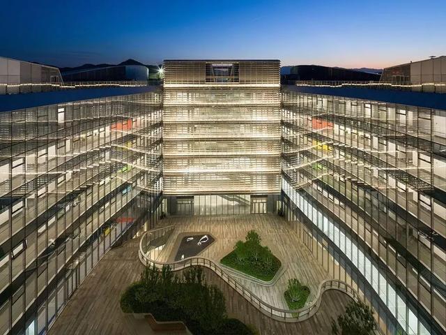 |当代青年为何陷入学历困境?张雪峰的话是济世良方还是毒鸡汤?