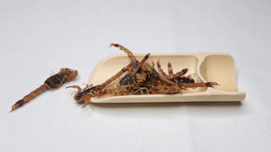 “牙齿痛不是病,痛起来真要命”,一个宫廷秘方,专治牙痛效果好