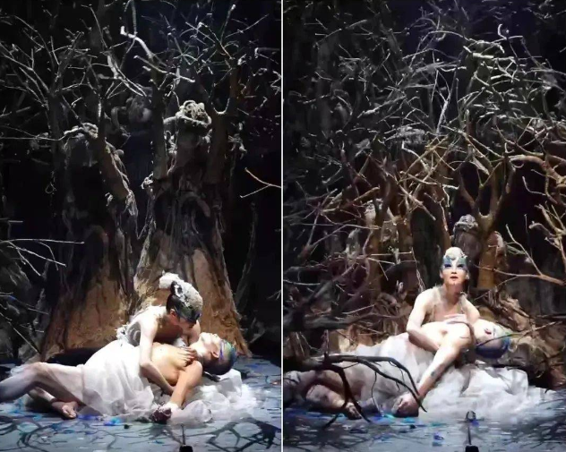 从徐娇的泳装到杨丽萍的凸毛孔雀，究竟是低俗了还是心脏了