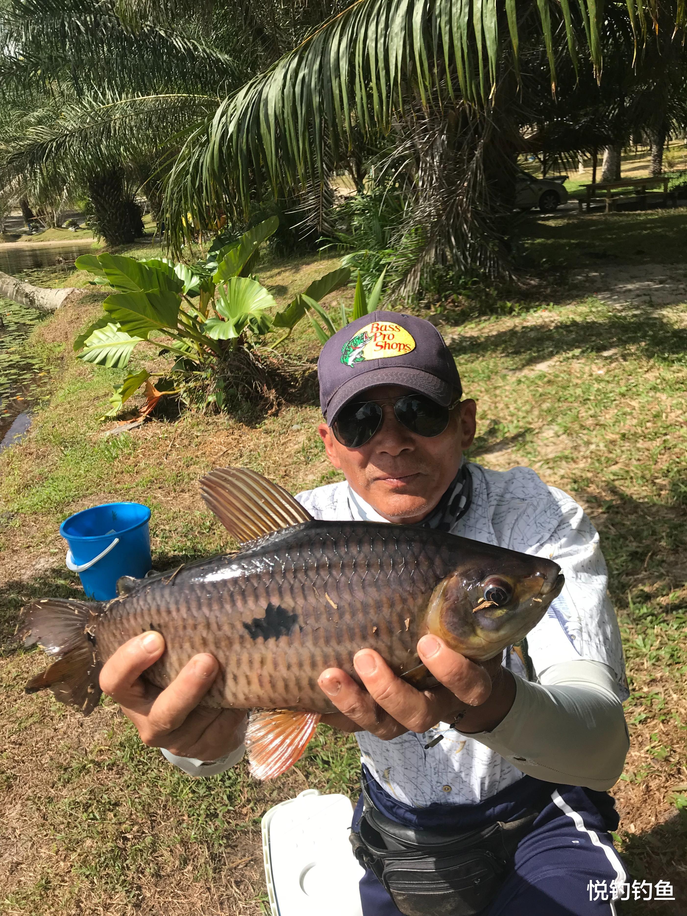 我在圭亚那钓上来一条令我至今难忘的丑鱼，但听说很美味……