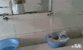 集成电路|“总经理办公室这样设计，要不要加厚隔音墙呢？”哈哈哈哈哈太有才了