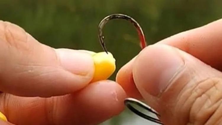 野钓鲤鱼你会用多大的鱼钩？切线跑鱼频频脱钩，多则就是钩用小了