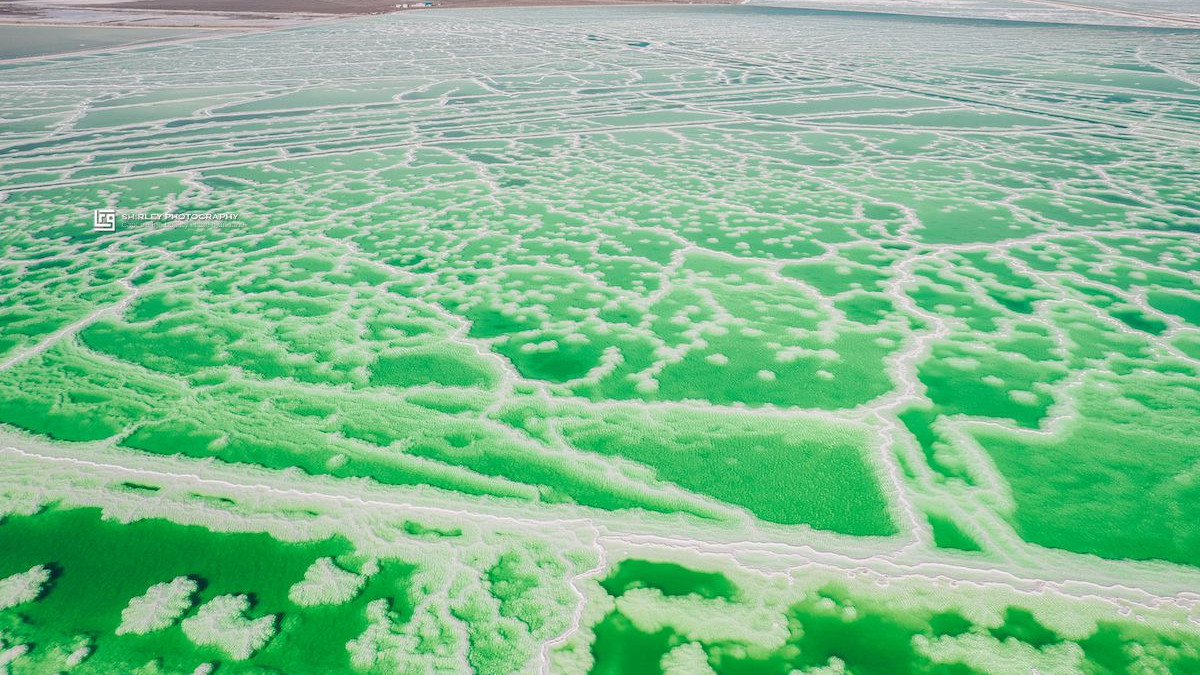 察尔汗盐湖|面积接近上海的中国第一盐湖，盐储量可供全球食用1000年，预估身