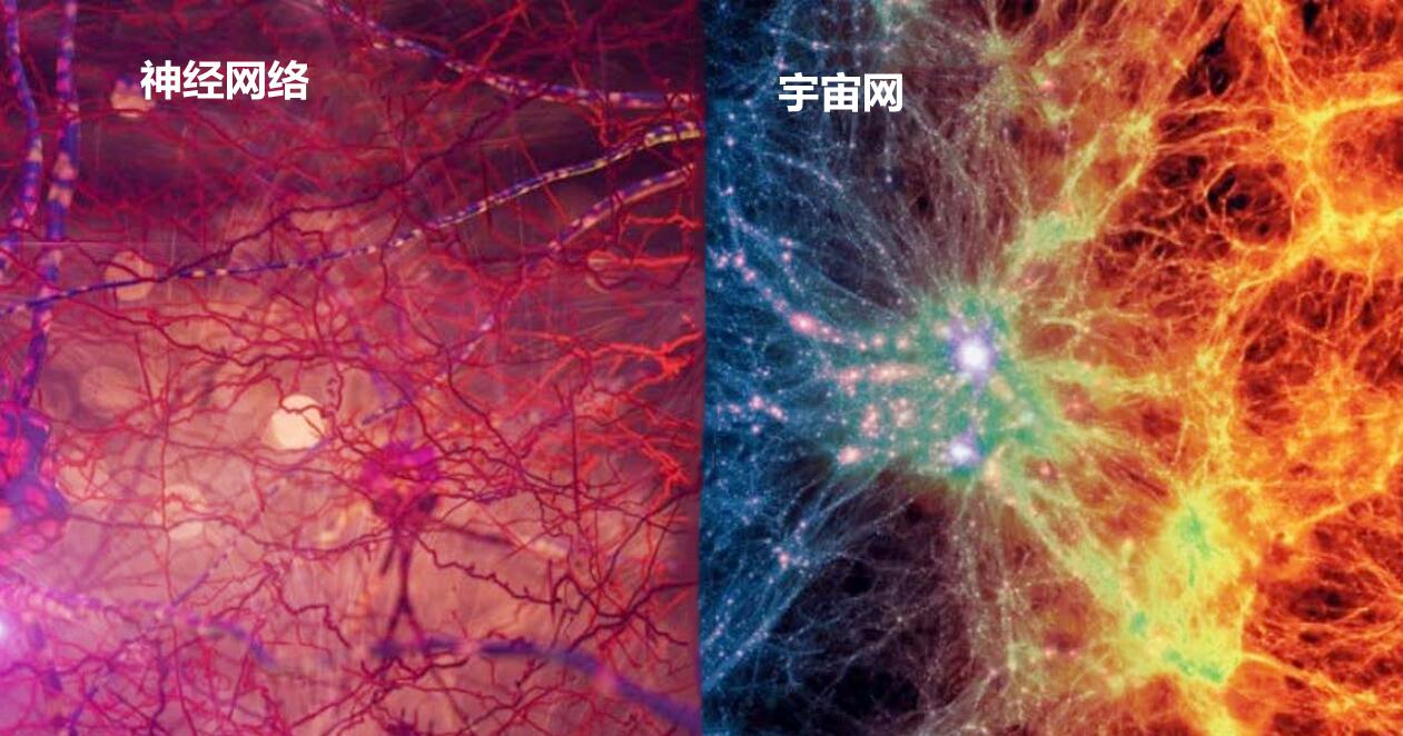因为在过去的研究中,科学家发现"宇宙网"的结构与我们人类的神经网络