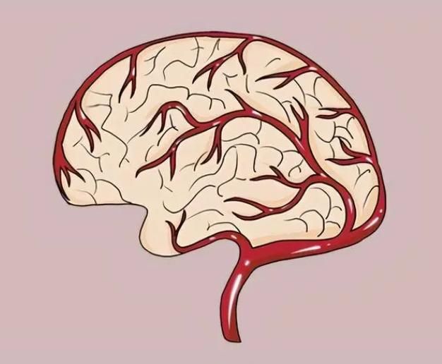 疾病|血型不同,大脑衰老速度不同?哪种血型更青睐于老年痴呆呢?