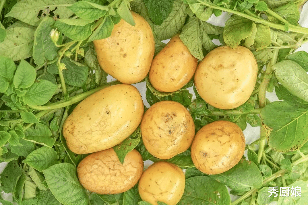 美食教程|三伏天，这5种蔬菜再贵也要买，农药残留为“0”，很多人却不懂吃