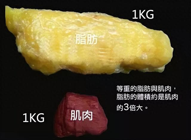 为什么你很难练出肌肉身材？4个原因告诉你